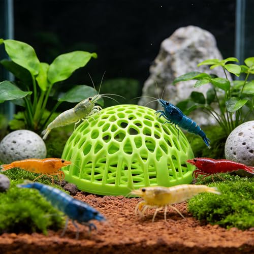 2-Pack Green Shrimp Hideouts – Hollow Half-Sphere Aquarium Caves for Shrimp, Betta Fish & Nano Tanks | Decorative Shelter for Breeding and Molting - color: Green