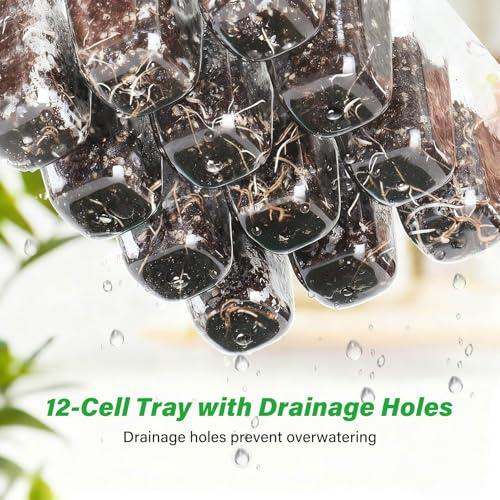 Bonviee 12 Packs Seed Starter Tray with Drainage Holes, Reusable & Durable, Clear for Root Monitoring, Easy to Repotted Without Root Damage, 12 Cells per Tray - color: Clear, size: 144 Cells, NO light