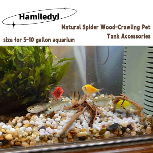 Hamiledyi 6PCS Aquarium Driftwood 6-8in Natural Spider Wood Branches Reptiles Aquarium Fish Tank Decoration Assorted - size: M:Spiderwood (6-8in 6PCS)