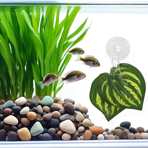LJY 12 Pieces 45mm Suction Cup Clip Advertising Pop Display Business Cards Holder Stand Clear Clamps for Fridge Shower Aquarium