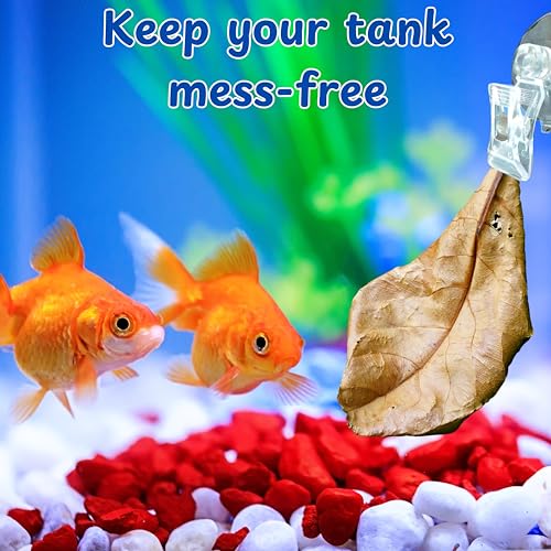 Betta Tunnel with 2 Pcs Veggie Clips for Aquarium, Betta Hideout Tunnel, Leaf Pad Tube and Fish Food Clip, Leaf Clip Feeding Tool, Bettas Fish Tank Accessories for Breeding Resting Feeding (S, Tube)