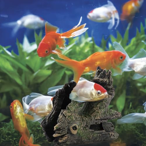 Joyzan Aquarium Tree Trunk, Hollow Landscape Stump Wood House Driftwood Resin Ornament Hideout Hideaway Caves Log Rock Craft Fish Tank Hole Stone Betta Cichlid Turtles Small Lizards Reptiles Amphibian - size: Type 3