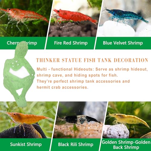 Shrimp Hide Cave for Aquarium - Luminous Shrimp Cave & Sculpture, 3D Printed White Fish Tank Accessories Decorations, Safe Shelter for Shrimps/Betta/Turtles, Mini Art Statue (White/Glowing Green) - color: White/Glowing Green