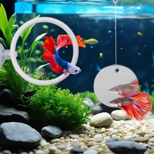 Beta Fish Aquariums Accessories, 1 Fish Mirror with Floating Ball & 2 Exercise Training Ring Toys, Fish Feeding Ring, Betta Fish Toys Set for Tank, Enrichment Toys for Fish - color: white ring