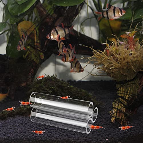 3-Tube Fish Shrimp Feeder - Acrylic Transparent Breeding Tube & Shelter for Aquarium Fish Tank Decorations - size: 3-hole