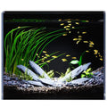 3 Gallon Glass Fish Tank Ultra Clear Rimless Aquarium, Built-in Black Background Rectangular Tank - size: 3 gallon tank only