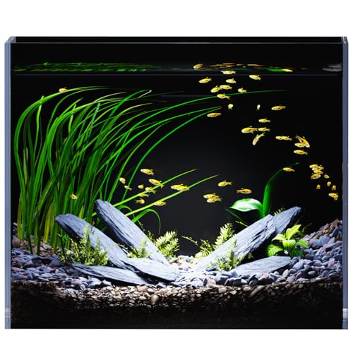 3 Gallon Glass Fish Tank Ultra Clear Rimless Aquarium, Built-in Black Background Rectangular Tank - size: 3 gallon tank only