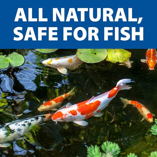 The Pond Guy LiquidClear Beneficial Bacteria Pond Cleaner for Outdoor Water Gardens & Small Ponds, Cloudy Water Reducer, Fish & Plant Safe, 1 Gallon - size: 1 Gallon