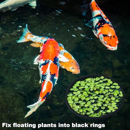 PAGOW 10pcs Fish Feeding Rings Set, Floating Aquarium Plant Corral, Round & Square Fish Feeder Rings for Fish Tank, Floating Plant Ring, Fish Tank Aquarium Accessories for Betta (Black) - color: Black