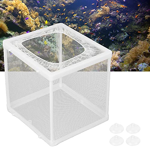 Fish Breeding Aquarium Box, Multifunctional Fish Breeder Box for Small Fish, Size S - size: Small