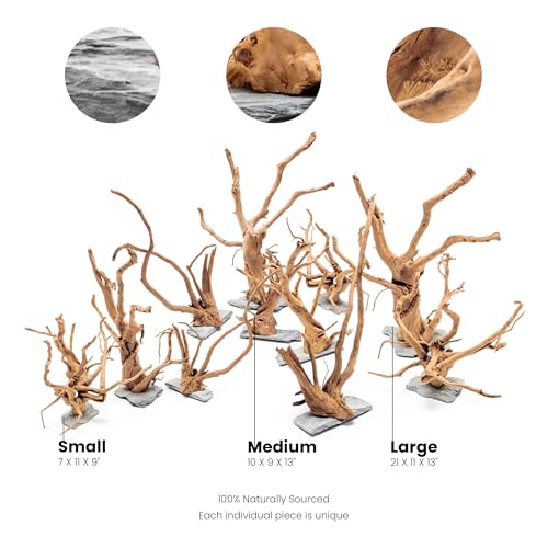 Ultum Nature Systems Driftwood - Spider Wood on Slate Stone for Fish Tank, Planted Tank, Terriarium, Paludarium - Versatile Natural Driftwood Decor - Spider Wood on Slate Stone, Small (7-12") - size: 7-12" 1-Pack