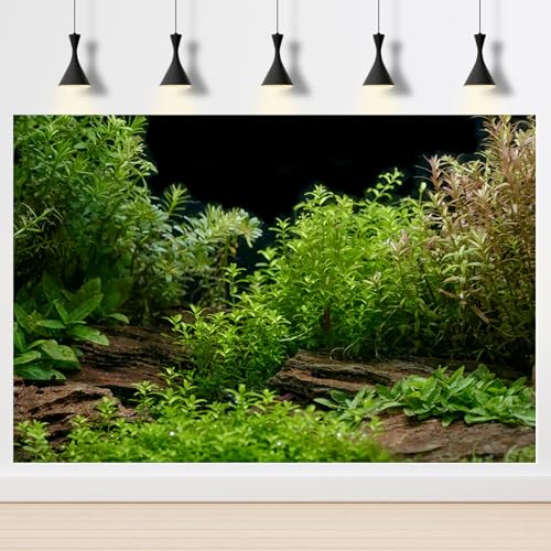 Aquarium Background Underwater Green Grass Leaves Stone Aquarium Backdrop Vivid and Fresh Green Aquatic Plant Stone River Bed and Lake Fish Tank Background Decor Vinyl 24x12in - color: Cork Green, size: 24(W)x12(H)inches/ 60(W)*30cm(H)