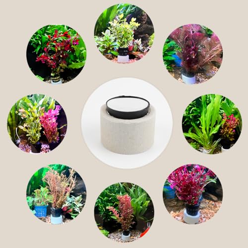 Aquatic Plants Fixed Set 10pcs Aquarium Plant Weights Pot and 10pcs Planting Cup with 10pcs Fixing Cottons Aquarium Accessories (30)