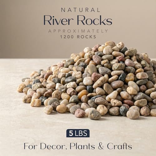 River Rocks Decorative Ornamental Vase Filler 0.5" - 0.75" Natural Aquarium Gravel 5 lbs - Landscaping Pebbles for Indoor Plants, Succulents,Terrarium & Home Decor, DIY & Crafting – Royal Imports - size: Small - 5 lbs, style: Natural