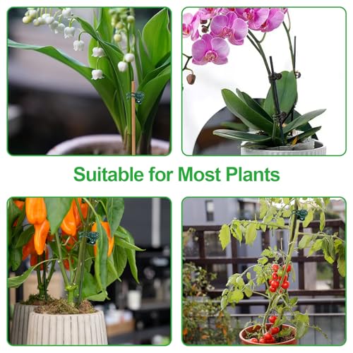 100 Pcs Plant Clips Orchid Clips,Plant Orchid Support Clips,Flower and Vine Clips，Garden Clips，Plant Clips for Climbing Plants - size: 100 PCS