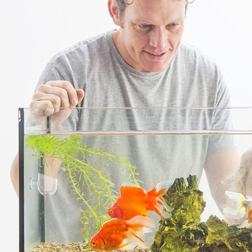 Mipcase 4Pcs Aquarium Plant Holders with Suction Cups Compact Fish Tank Feeder Cups for Bloodworm Shrimp Feeding Durable Aquarium Accessories for Aquatic Plant Pots
