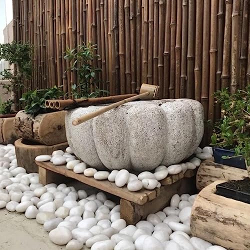 YISZM 20lbs White River Rocks for Landscaping, 2-3 Inch Natural Pebbles for Indoor Plants, High Polished Decorative Stones Vase Filler Fish Tank Aquariums Garden Outdoor and Indoor DIY - color: White, size: 20 Pounds