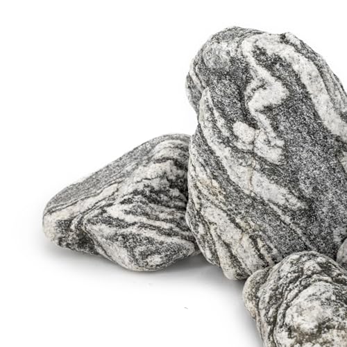 Natural Rocks Aquarium Stone 20lb Silver Seiryu Rock for Fish Tanks, Terrariums, Bonsai, Garden Decoration, Micro Landscapes & Reptile Terrariums (2-9inch 7-8Pcs) - size: 20lb (2-8inch)