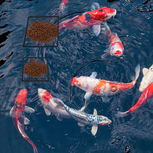 Fish Feeding Ring - Floating Plant Corral Set for Aquarium Accessories, 5pcs, Black - color: Black