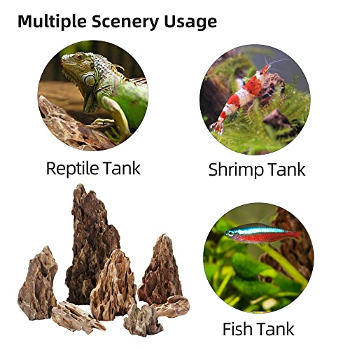 LANDEN Natural Dragon Stones (16lbs, 2~8 inches,7-8pcs) for Aquascaping Terrariums, Paludariums,Vivariums, Reptile and Amphibian Enclosures - size: 01 Dragon(Ohko) Stone(2-8inch,16lbs)