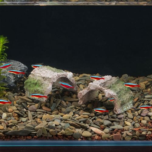 IBWell 2 Pack Aquarium Hideout Reptile Cave Betta Log Resin Hollow Tree Trunk Ornament Terrarium Tank Decoration for Fish Turtle Small Reptile - Short - size: 2.96"*2.56"*1.97"