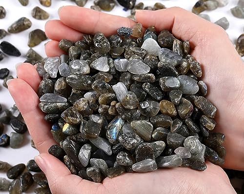 QINJIEJIE Labradorite Crystals Tumbled Chips Natural Stone Gravel Bulk Crushed Rocks Pieces Polished Quartz Stone 0.55Lbs Decorative Fish Tank Pebbles Vase Filler Irregular Shaped Gemstone - color: Grey Labradorite, size: 0.55 Pound