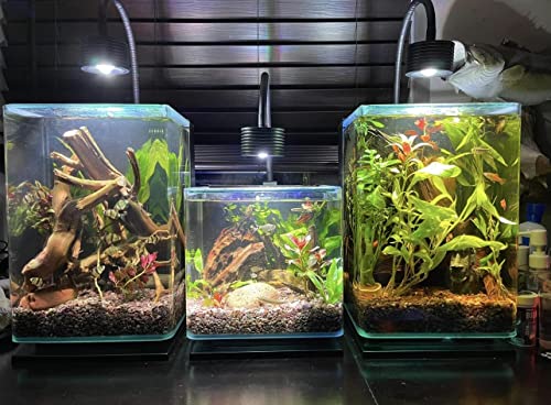 Lominie LED Aquarium Light, Planted Tank Light 4 Channels Remote Control 6500K Aquarium LED Lamp for Freshwater Fish Tank Refugium with Gooseneck (A20 Freshwater) - color: A20 freshwater
