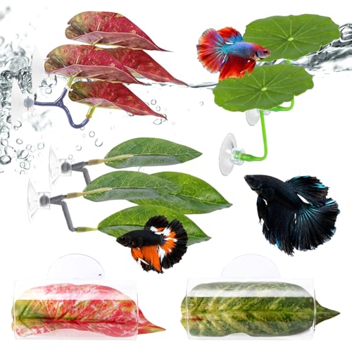 6Pcs Betta Leaf Hammock with 2Pcs Acrylic Tube Tunnel, 8-Piece Fish Tank Accessories for Resting, Playing, Hiding, Ideal for Betta Fish, Small Fish, Aquarium Enthusiasts