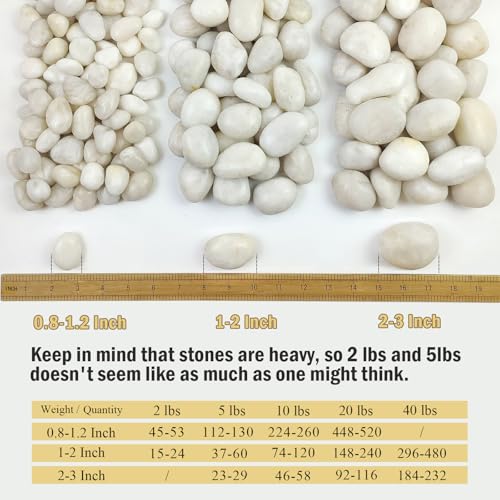 5 lbs White River Rocks, Polished Pebbles for Indoor Plants, 1-2 inch Decorative White Stones for Plants Vase Aquarium Fish Tank and Outdoor Garden Landscaping Rocks - size: 1-2 Inch, style: 5 Pounds