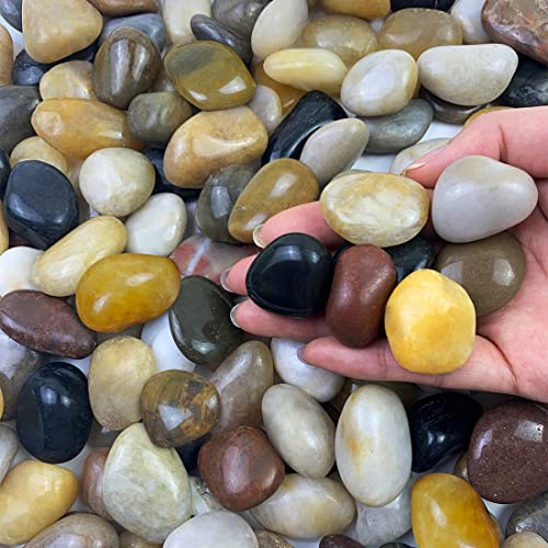 FANTIAN 2 lbs Small Pebbles for Indoor Plants, 0.8-1.2 Inch Decorative River Rocks for Plants, Landscaping, Succulents Potted, Vase, Fish Tank, Stones for Planter and Outdoor Garden Rocks - size: 0.8-1.2 Inch, style: 2 Pounds