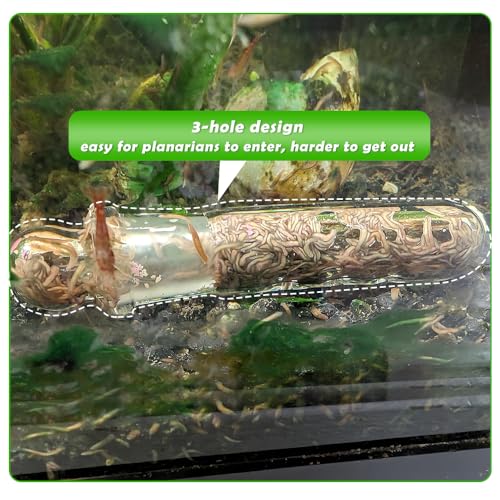 2 Pack Clear Glass Planaria Trap Catch Trap Aquarium Cleaning Supply for Dwarf Shrimp Cherry Shrimp (3 Holes)