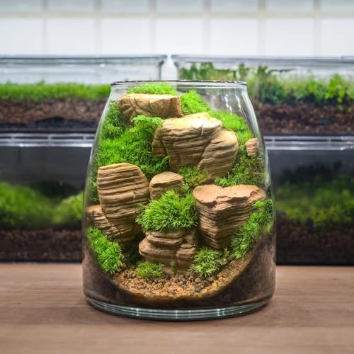 Natural Rocks Pagoda Stones 1-2.5 Inches Decorative Stones for Fairy Gardens,Miniature Landscaping,Bonsai,DIY Crafts,Aquariums & Reptile Terrariums-1lb - size: 1lb(1-2.5Inch)