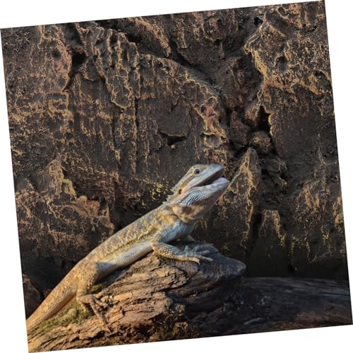 Mipcase 3D Reptile Tank Background Board Aquarium Tank Decoration for Bearded Dragon Decorative Sheet