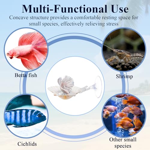 5 Pcs Betta Fish Bed Shell Hammock Betta Resting Spot with Suction Cups Natural Shell Hideouts & Spawning Grounds for Betta, Shrimp, Cichlid, Small Fish Tank Decorations