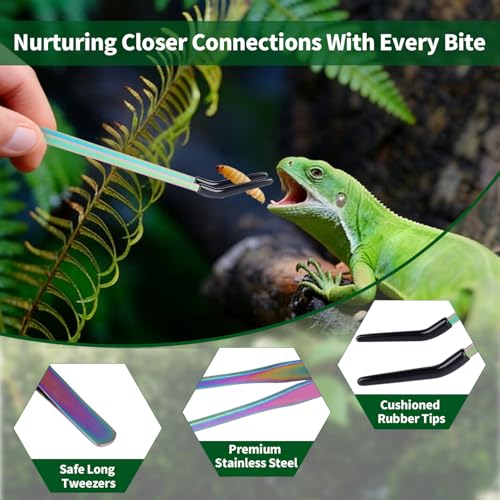 2 Pack Stainless Steel Reptile Feeding Tongs with Rubber Tip, 10.6" Straight & Curved Tweezers, for Aquarium or Craft, Planted Tank, Terrarium Tank, Feeder for Beard Dragons, Lizard and Snakes, Silver