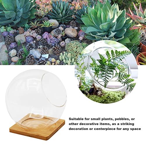 Plant Terrarium Display Glass with Bamboo mat, Tabletop Succulent Air Plant Planter Globe, Mini Terrarium Garden, Round Beveled Glass vase, Micro Landscape eco vase,for Succulents, Air Plants, Moss