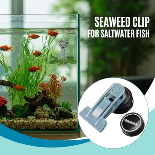 Blulu 2 Pcs Magnetic Seaweed Feeding Clips Saltwater Aquarium Tank Accessories Algae Magnet Seaweed Feeder for Fish and Aquatic Pets, Automatic Fish Feeder