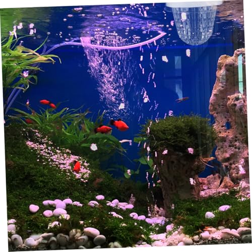 HEMOTON 2pcs Aquarium Fish Breeding Box Isolation Hatchery for Guppies Floating Design Easy Installation Versatile for Fish Tank