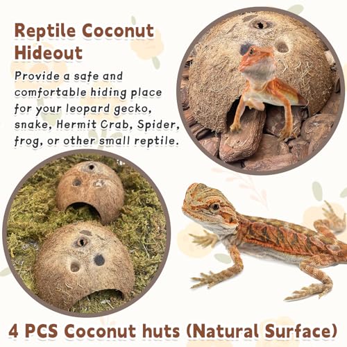 Natural Coconut Reptile Hideouts Lizard, Coco Hut Hermit Crab Hut Aquarium Fish Hide Cave for Small Reptile Crested Gecko Leopard Gecko Spider Snail Climber Toys (4 PCS Natural Surface)