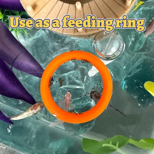 6 Pcs Betta Fish Toy Set, Includes Betta Mirror, Exercise Ring, Leaf-Shaped Hammock, Suitable for Betta Fish Tanks Accessories, Aquariums Decor