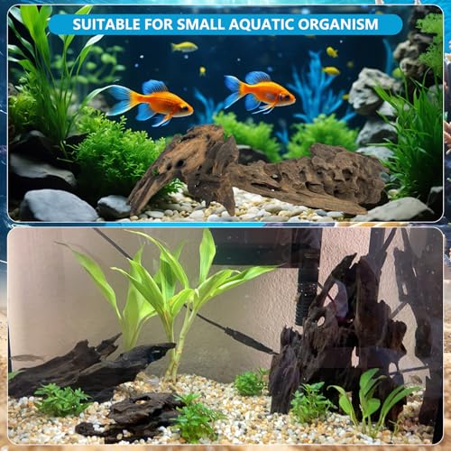 3 Pcs Natural Honeycomb Wood 8-12", Porous Aquarium Driftwood, Cholla Wood Shrimp Shelter Breeding Cave, Shrimp Dragon Wood for Fish Tank, Aquascaping, Reptile, Terrarium Decor