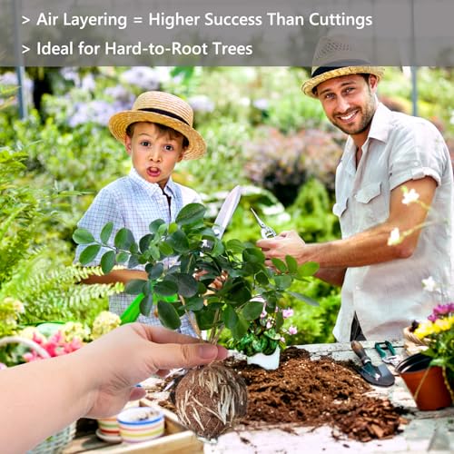 Tree Root Growing Box – Air Layering Propagation Pods for Woody Plants, Reusable Transparent Rooting Device for Magnolia, Fig, Citrus & Roses (10pcs Small, 3–9mm Branches) - color: Black-s-10pack