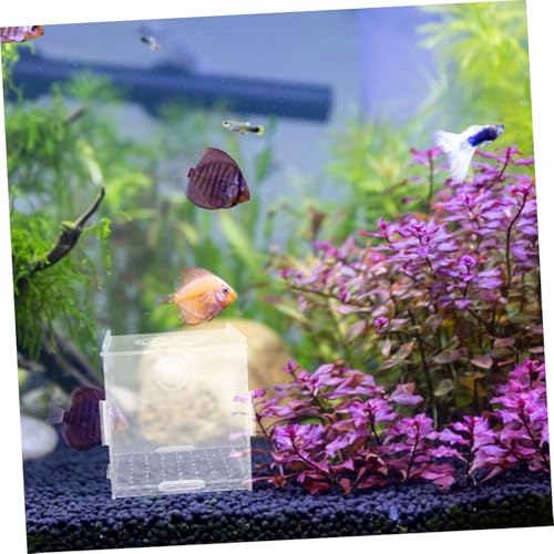 Acrylic Fish Breeding Box for Aquarium Isolation Tank Hydroponic Separator with Suction Cups