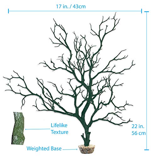 CURRENT USA Moss Green Manzanita Branch 22-inch Tall with Weighted Base | Tree Branches Molded Aquarium Decor Decoration Fake Artificial Fish Tank Ornament for Freshwater or Saltwater (7396) - color: Moss Green