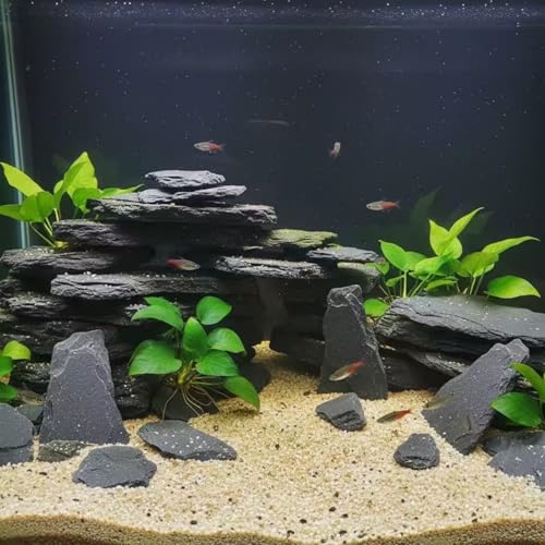 Aquarium Rock Natural Slate Rocks 2 to 6 inch Aquariums Stone for Aquascaping,Terrariums,Reptile Enclosures,Paludariums, and Gardens-10lb - size: 10lb(2-7'')