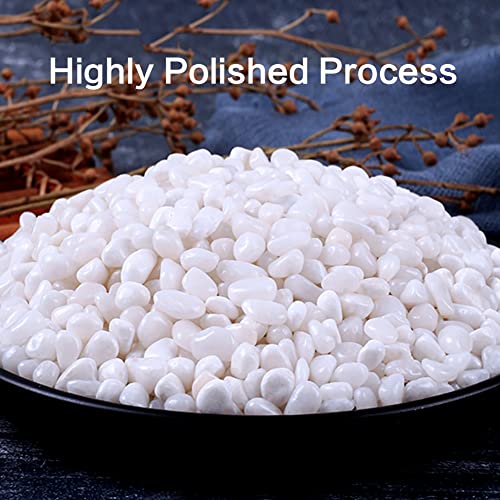 3.0 LB White Polished Pebbles 3/8", Natural Decorative Smooth River Rocks, Gravel Size White Small Pebble Stone for Succulent, Bonsai, Potted Plants, Landscaping, Fairy Garden, Aquarium - size: 3.0 LB