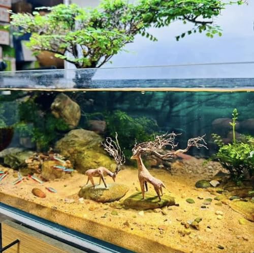 Azil Driftwood Deer Aquarium Decoration – Unique & Artistic Fish Tank & Terrarium Ornament, Safe & Eco-Friendly for Aquascaping & Reptile Habitats (Deer with Long Antlers)