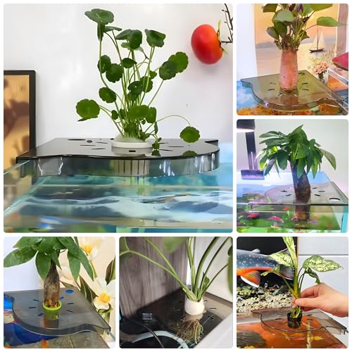 Aquarium Plant Holder for Rimless Fish Tank – 2 Pcs Corner Shelf for Fish Tank Top, Aquatic Plant Planter & Organizer for Aquatic Plants, Decor, and Accessories (Light Brown) - color: Light Brown