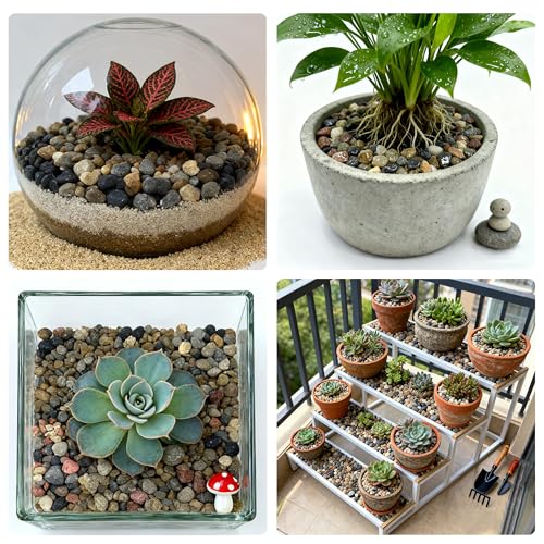 SIDONG 10LB Natural Aquarium Gravel, Small River Rocks for Fish Tank, Garden & Vase Decor - 1/16 Inch Pea Gravel, 2-4mm Polished Stones for Landscaping, Potted Plants, Terrarium - color: 10lb, size: 2-4mm