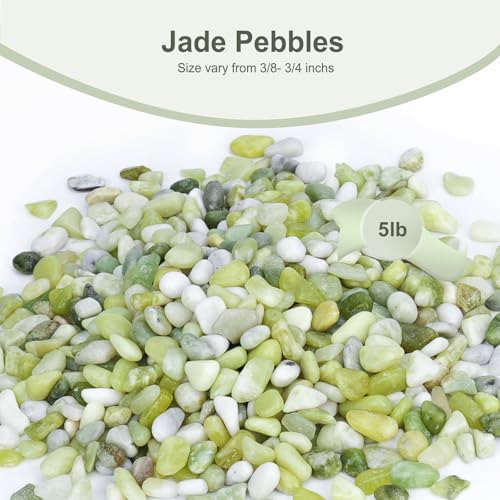 5 lbs Jade Pebbles for Indoor Plants, Decorative Pebbles for Bamboo, Vase, 3/8" Plant Gravel for Pots Indoor, Highly Polished Small River Rocks - color: Jade